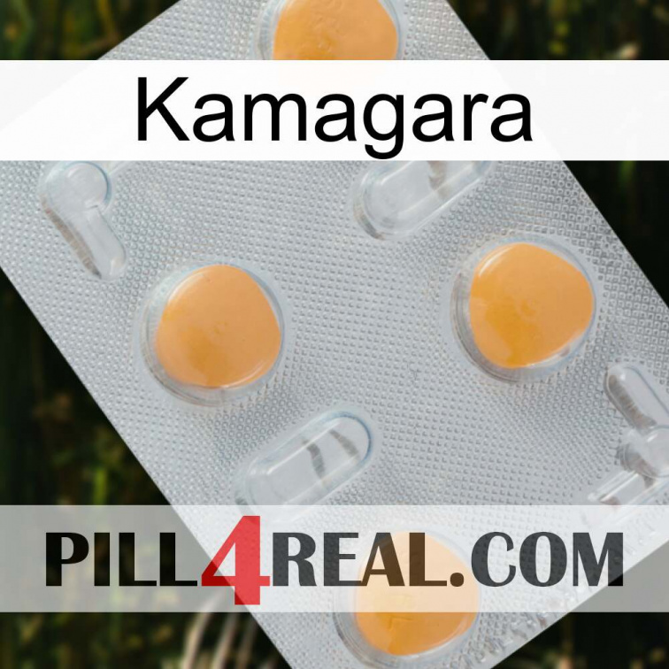 Kamagara 24